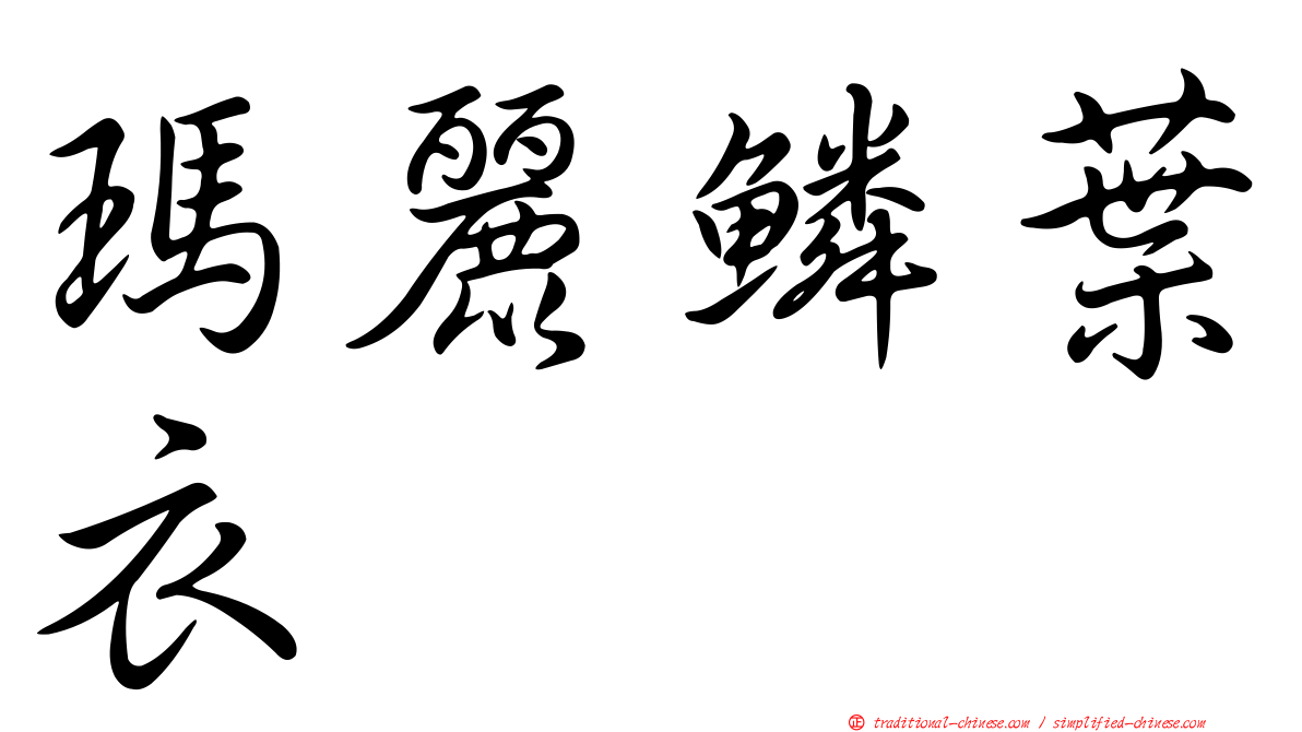 瑪麗鱗葉衣
