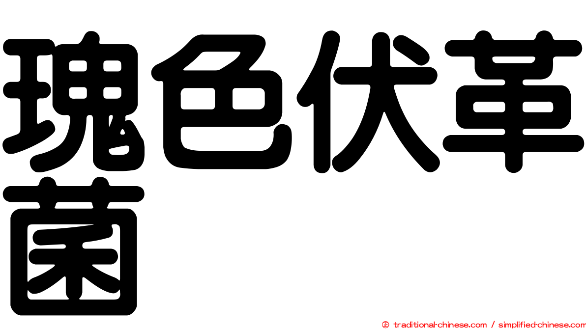 瑰色伏革菌