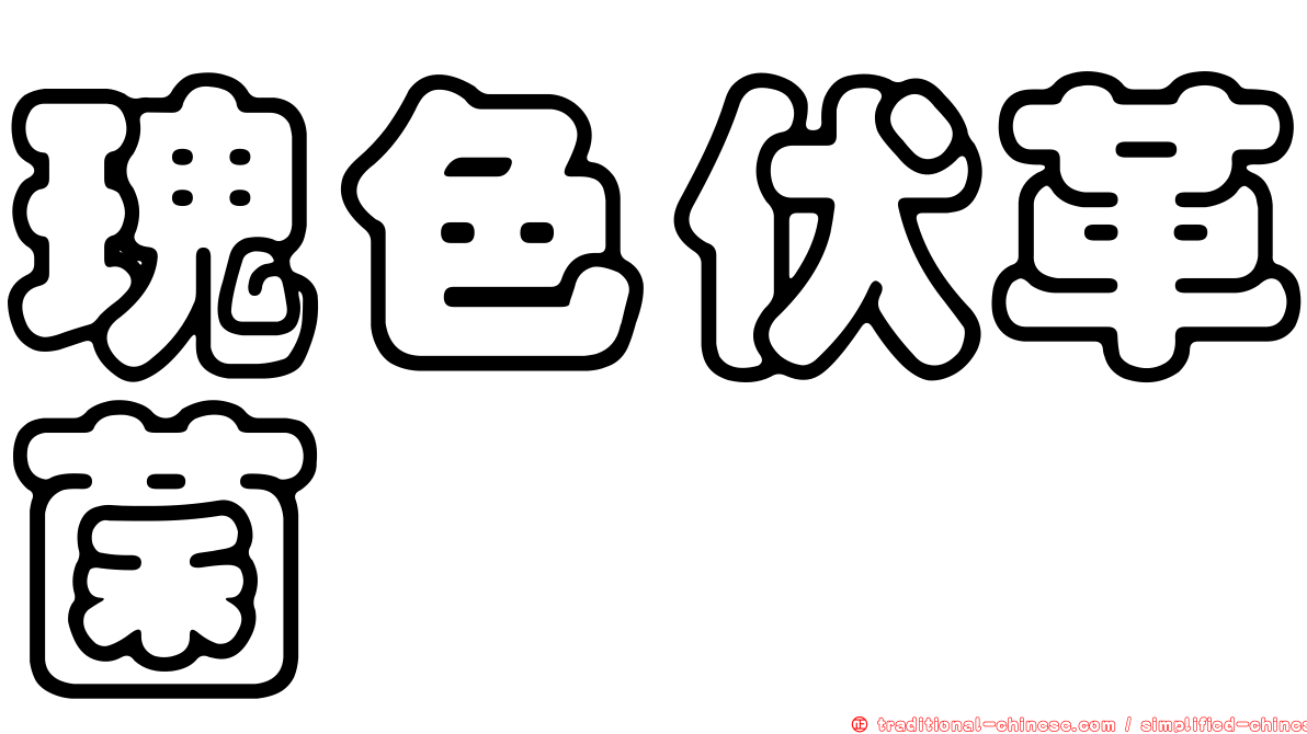 瑰色伏革菌