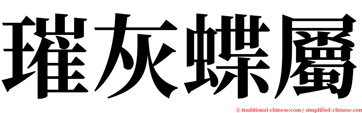 璀灰蝶屬 serif font