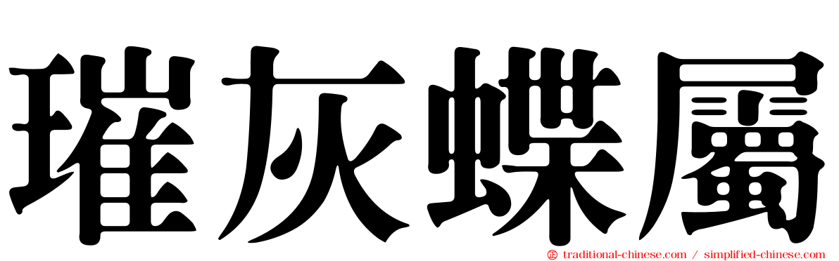 璀灰蝶屬