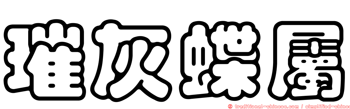 璀灰蝶屬