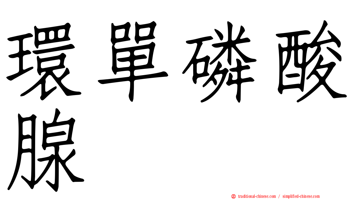 環單磷酸腺苷