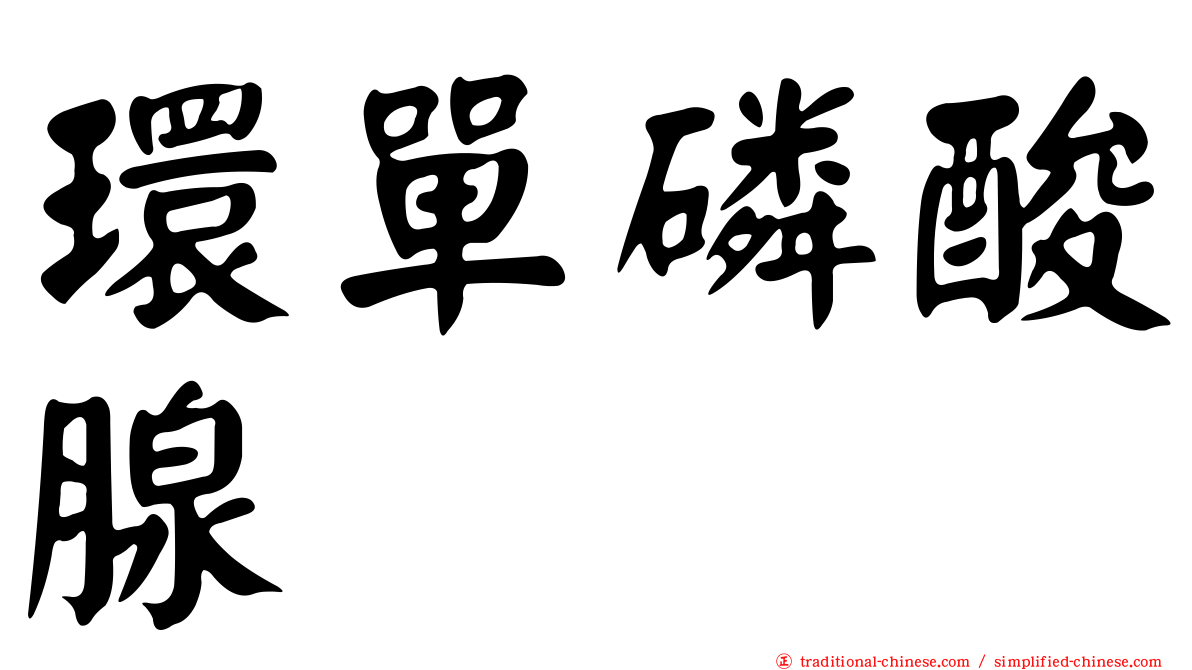 環單磷酸腺苷