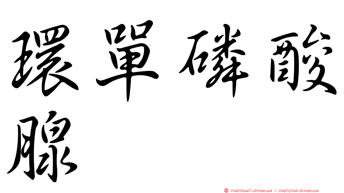 環單磷酸腺苷