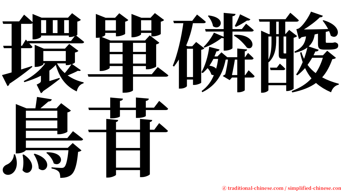 環單磷酸鳥苷 serif font