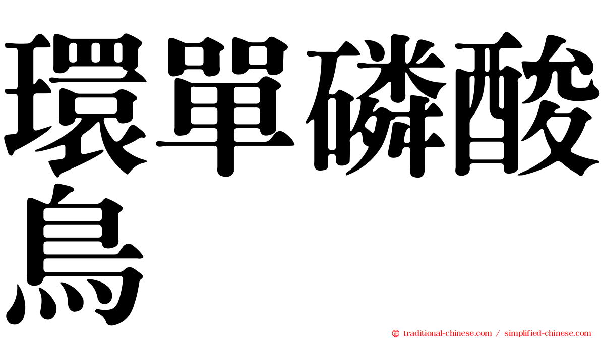 環單磷酸鳥苷