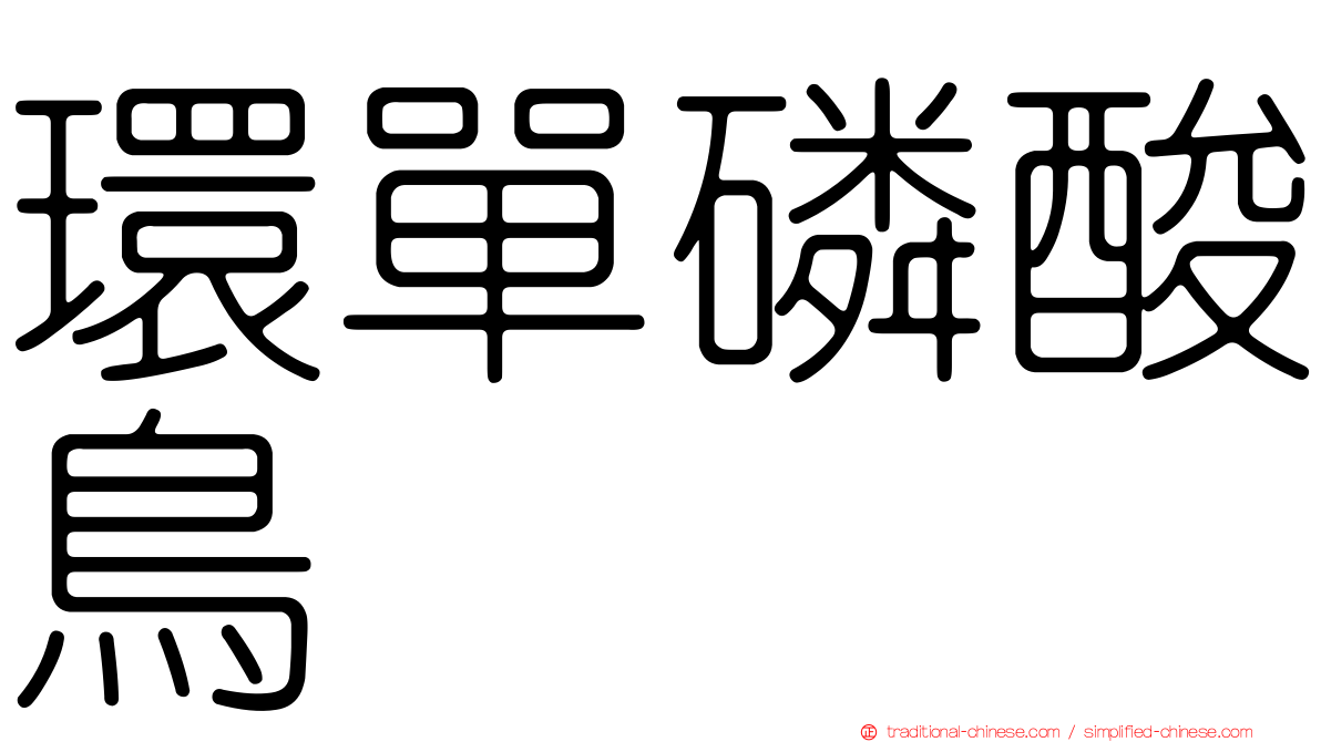 環單磷酸鳥苷