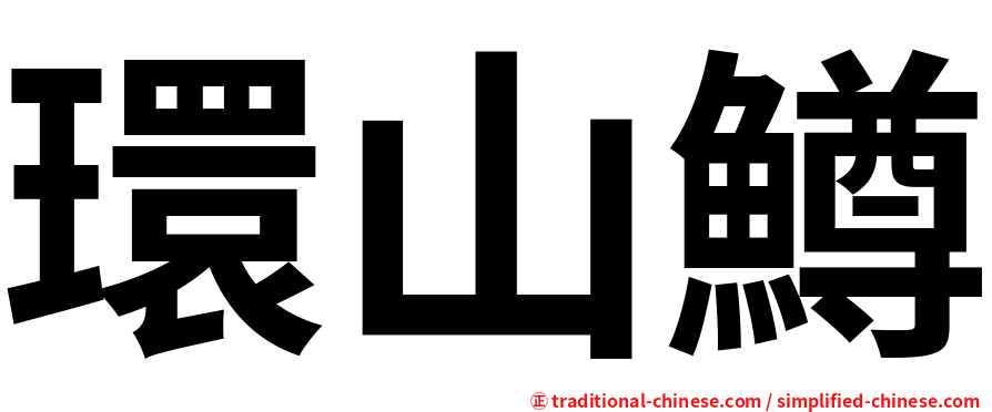 環山鱒