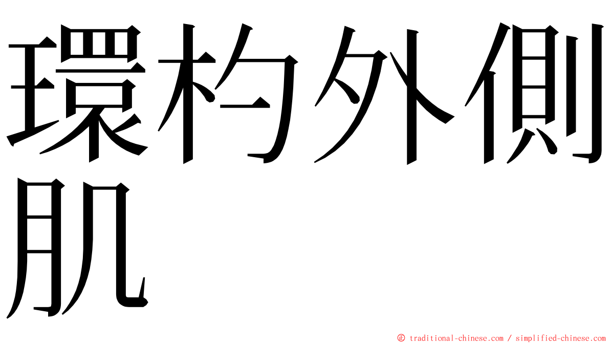 環杓外側肌 ming font