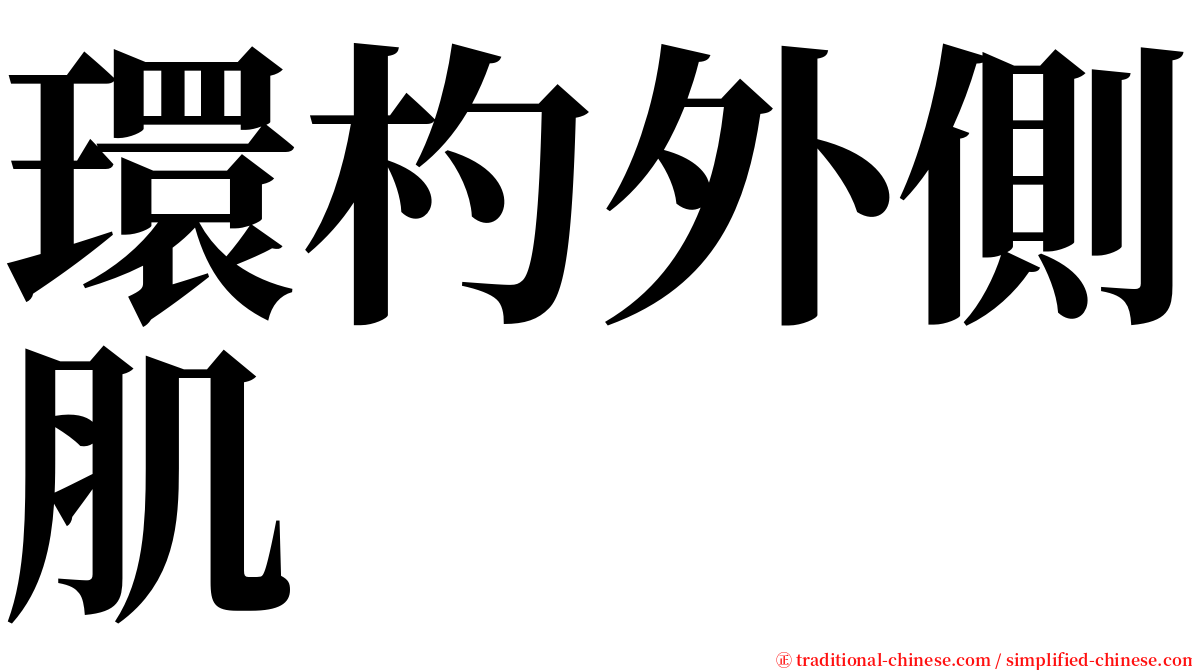 環杓外側肌 serif font