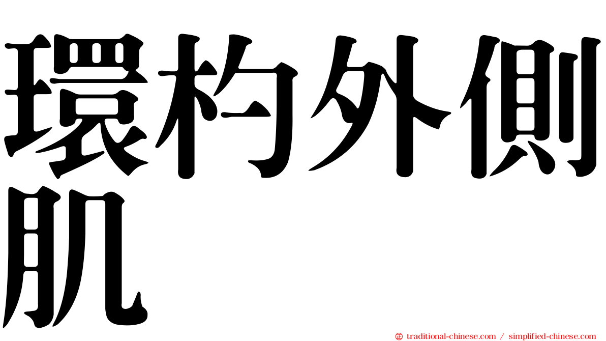 環杓外側肌