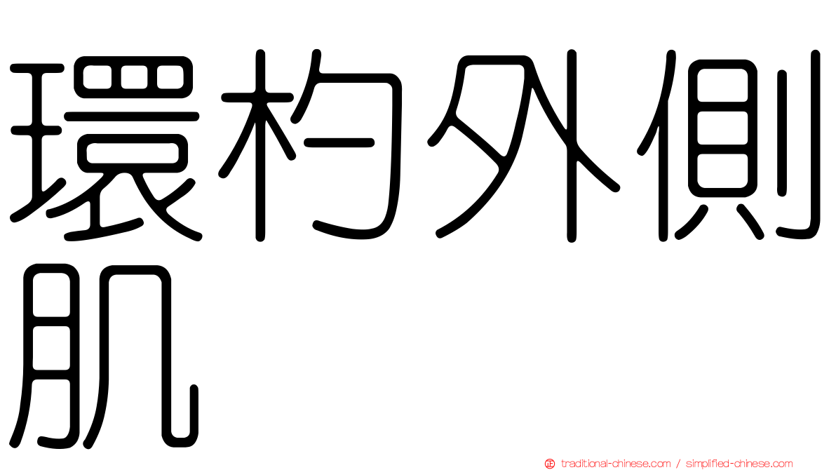 環杓外側肌
