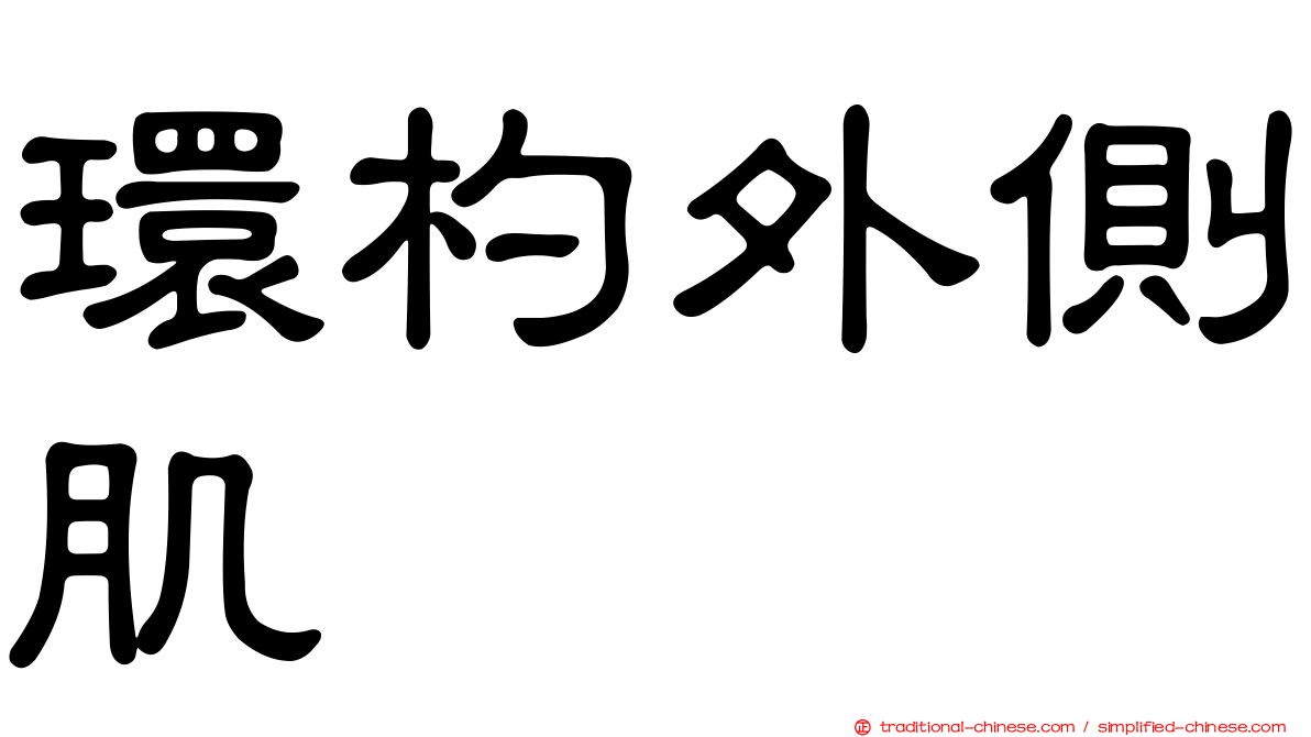環杓外側肌