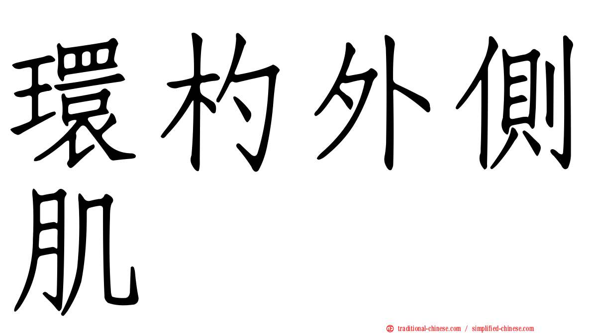 環杓外側肌