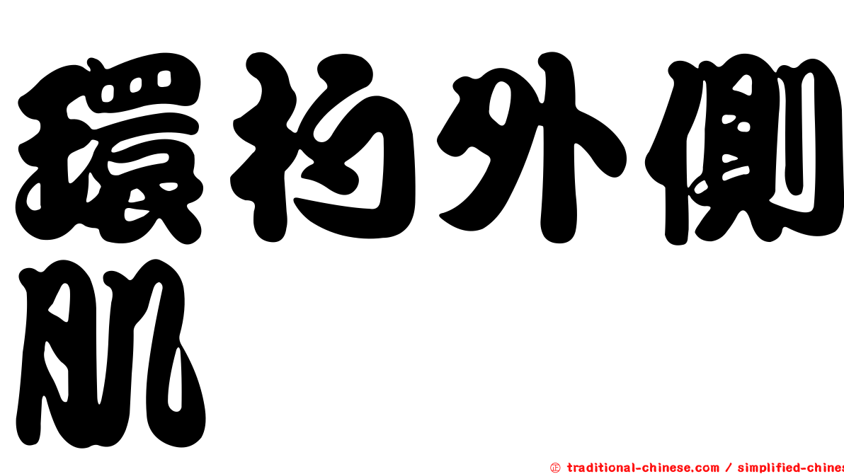 環杓外側肌