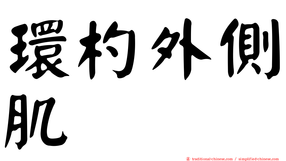 環杓外側肌