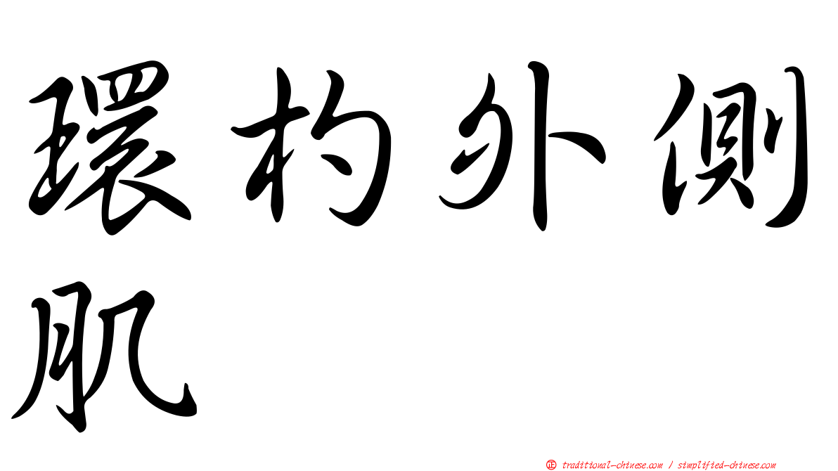 環杓外側肌