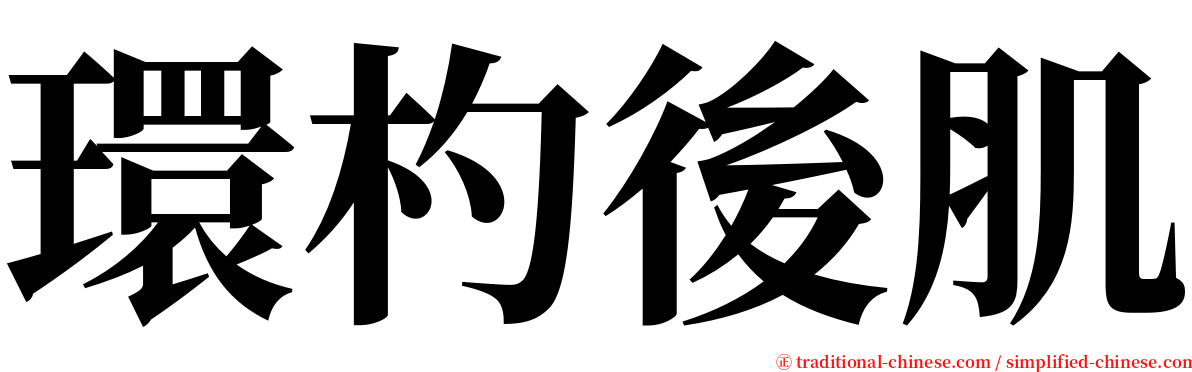 環杓後肌 serif font