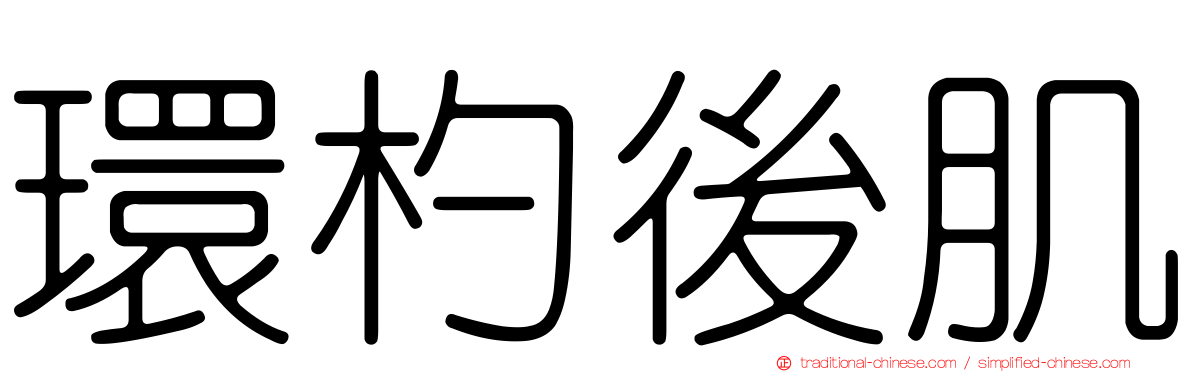 環杓後肌