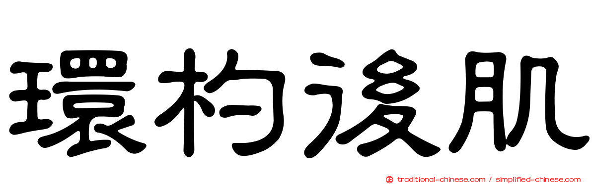 環杓後肌