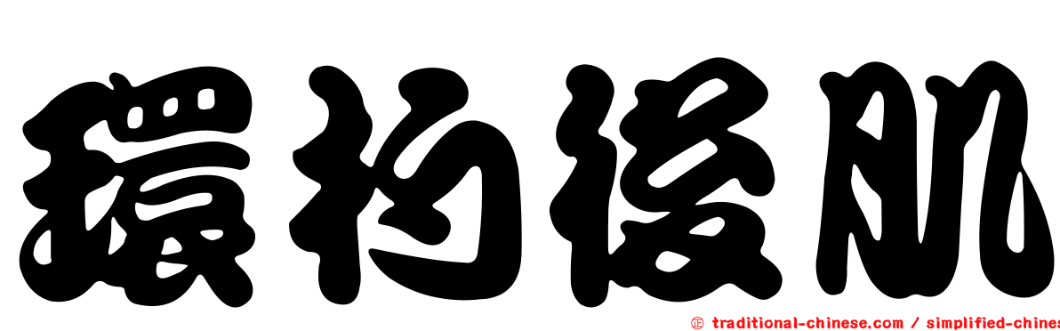環杓後肌