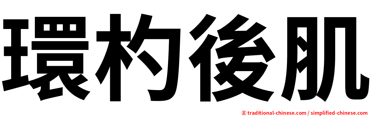 環杓後肌