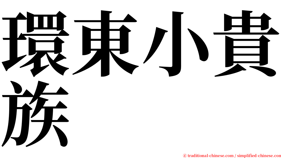 環東小貴族 serif font