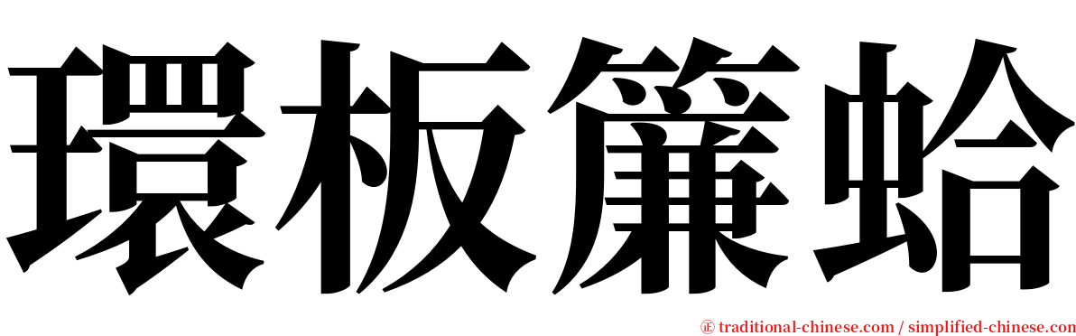 環板簾蛤 serif font