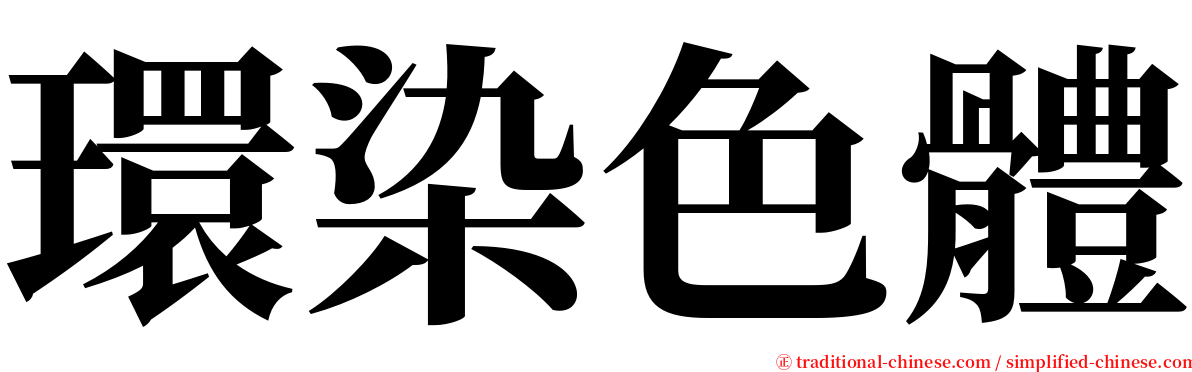 環染色體 serif font