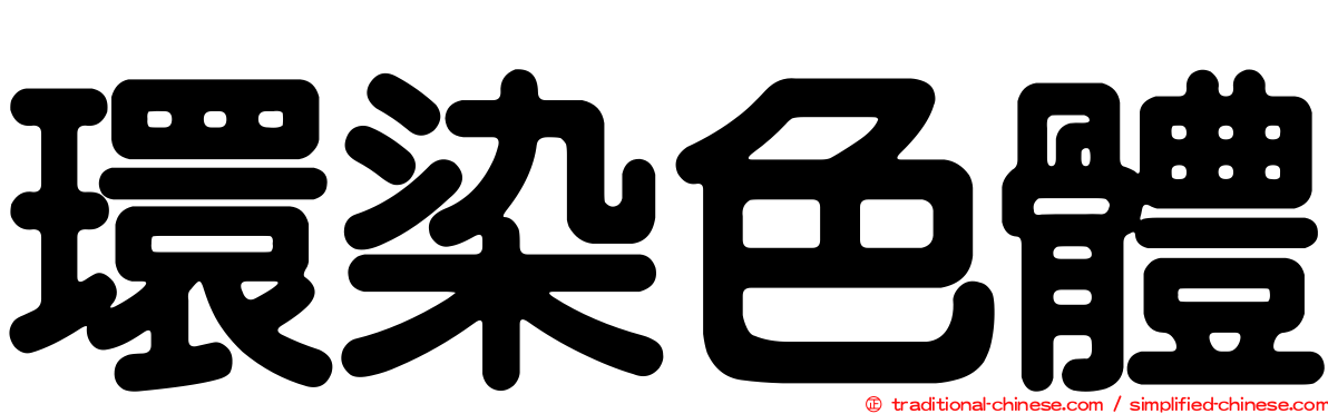 環染色體