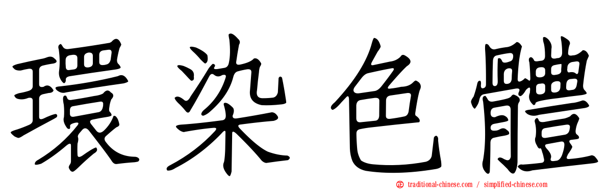 環染色體
