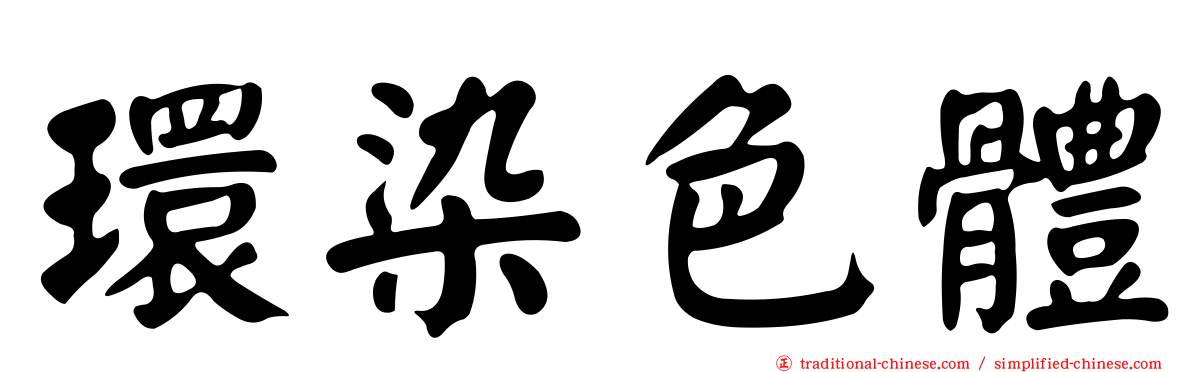 環染色體