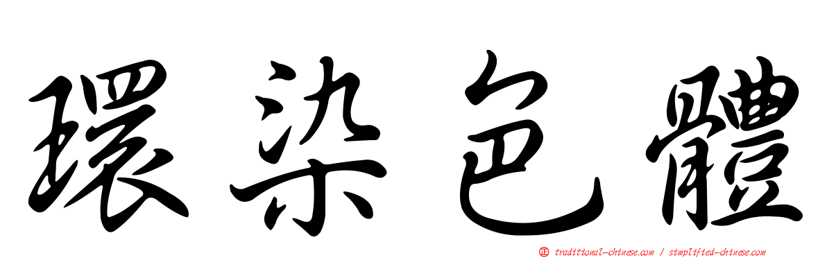 環染色體