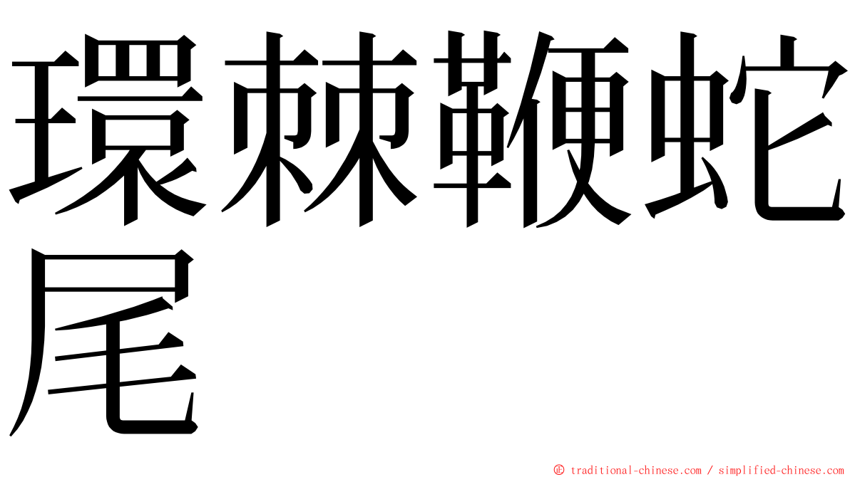 環棘鞭蛇尾 ming font
