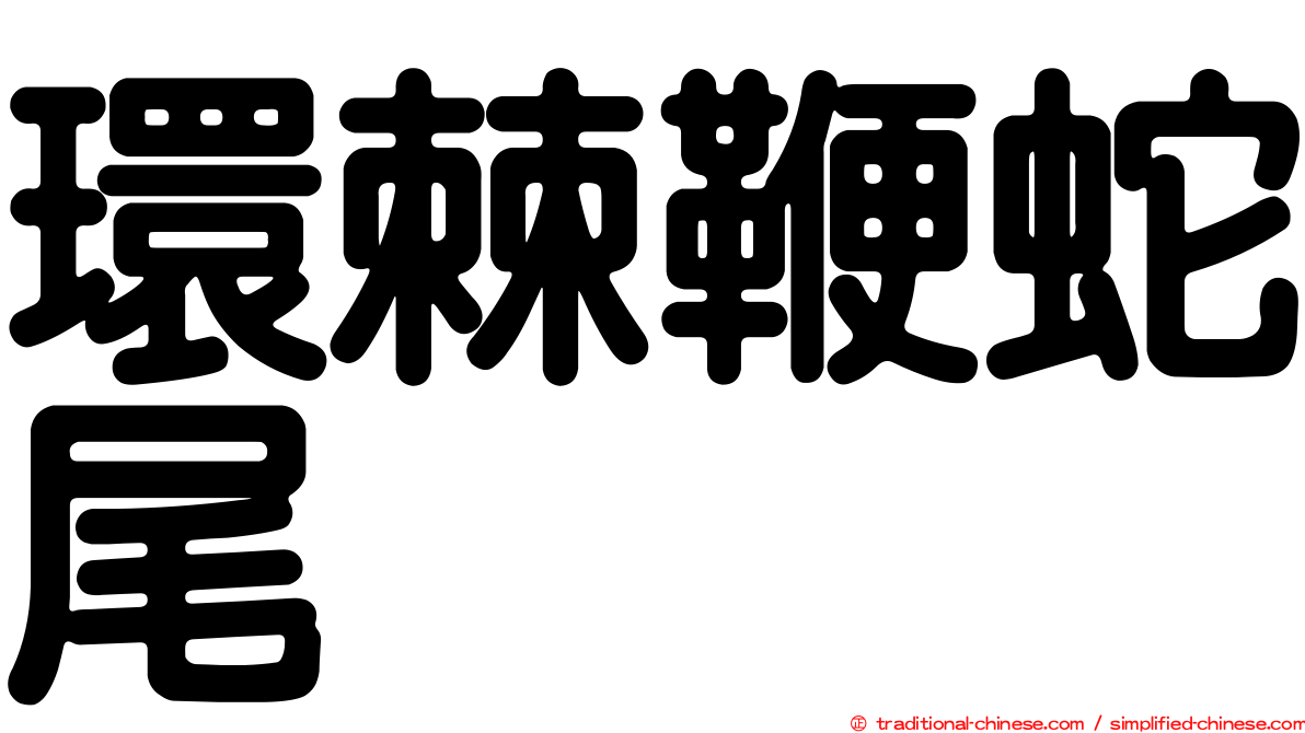 環棘鞭蛇尾