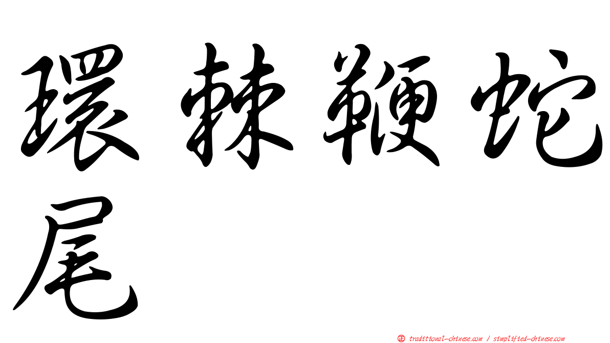 環棘鞭蛇尾