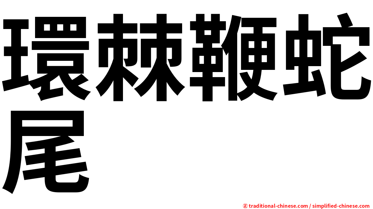 環棘鞭蛇尾