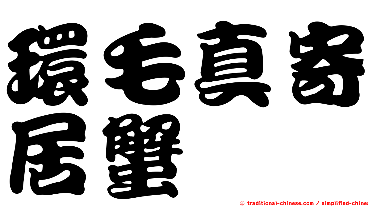 環毛真寄居蟹