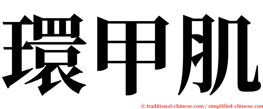 環甲肌 serif font