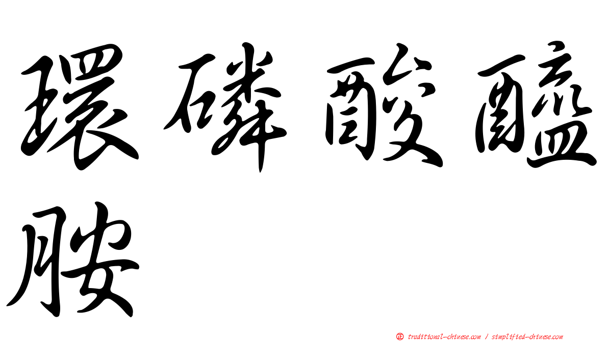 環磷酸醯胺