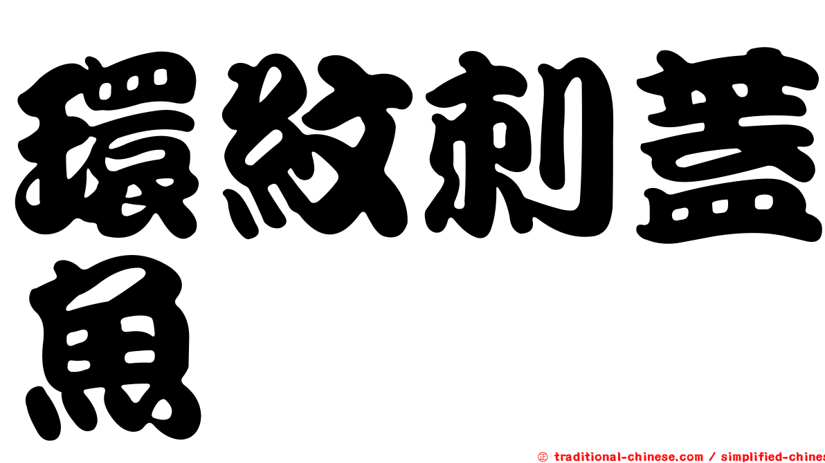 環紋刺蓋魚