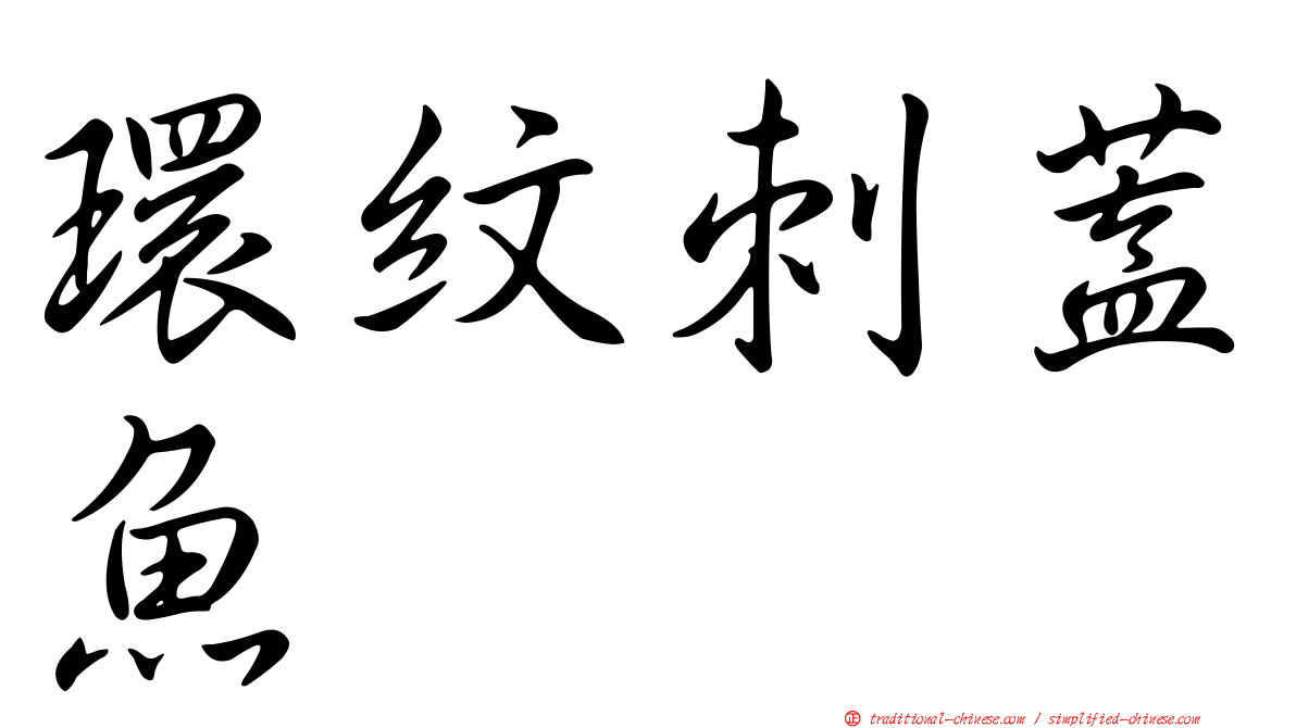 環紋刺蓋魚