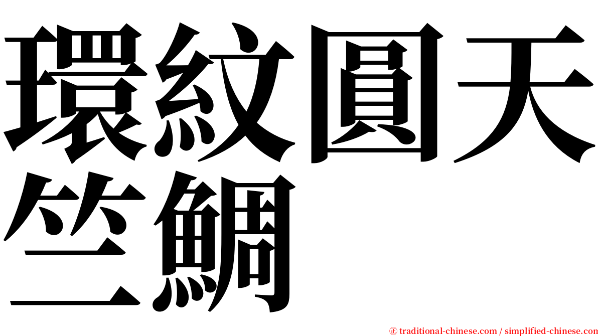 環紋圓天竺鯛 serif font