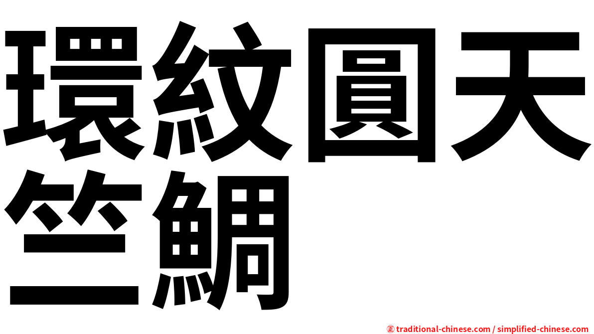 環紋圓天竺鯛