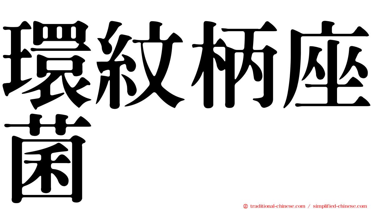 環紋柄座菌