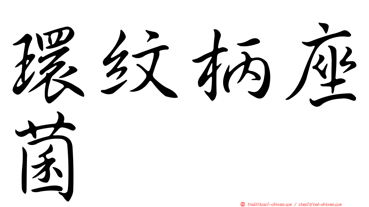 環紋柄座菌
