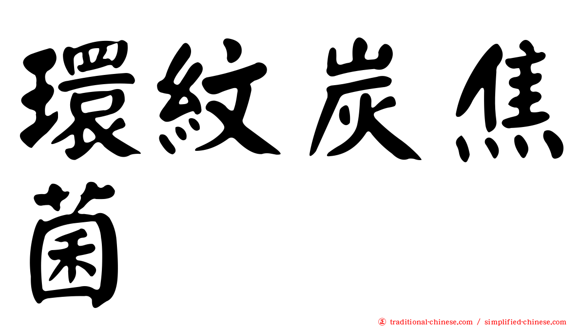 環紋炭焦菌