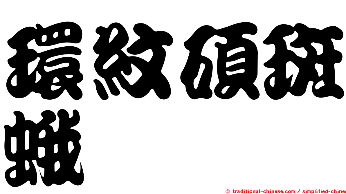 環紋碩斑蛾