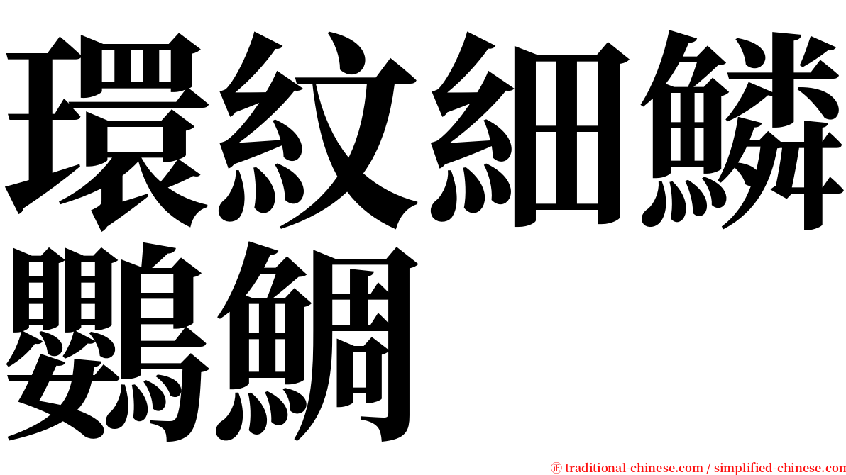 環紋細鱗鸚鯛 serif font